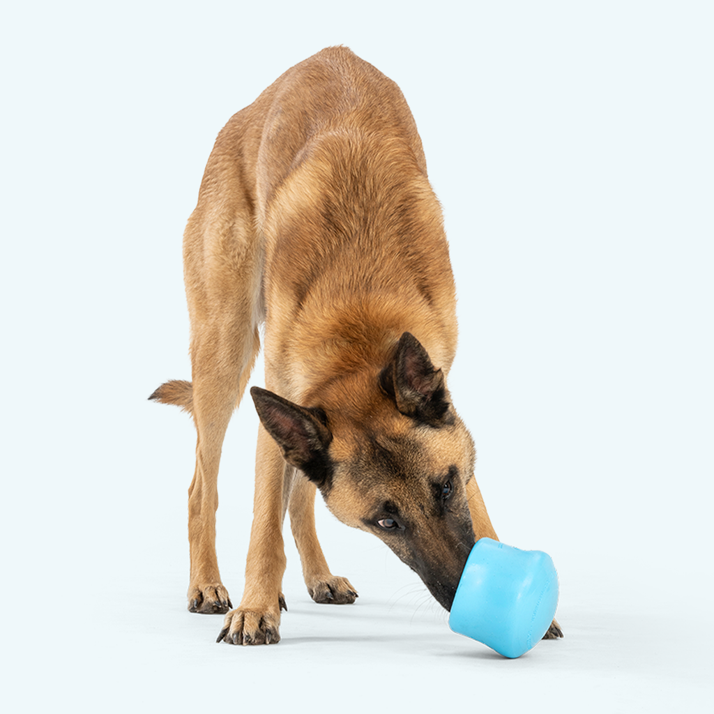 Toppl® Enrichment Toy | A Velcro & Friends Pick
