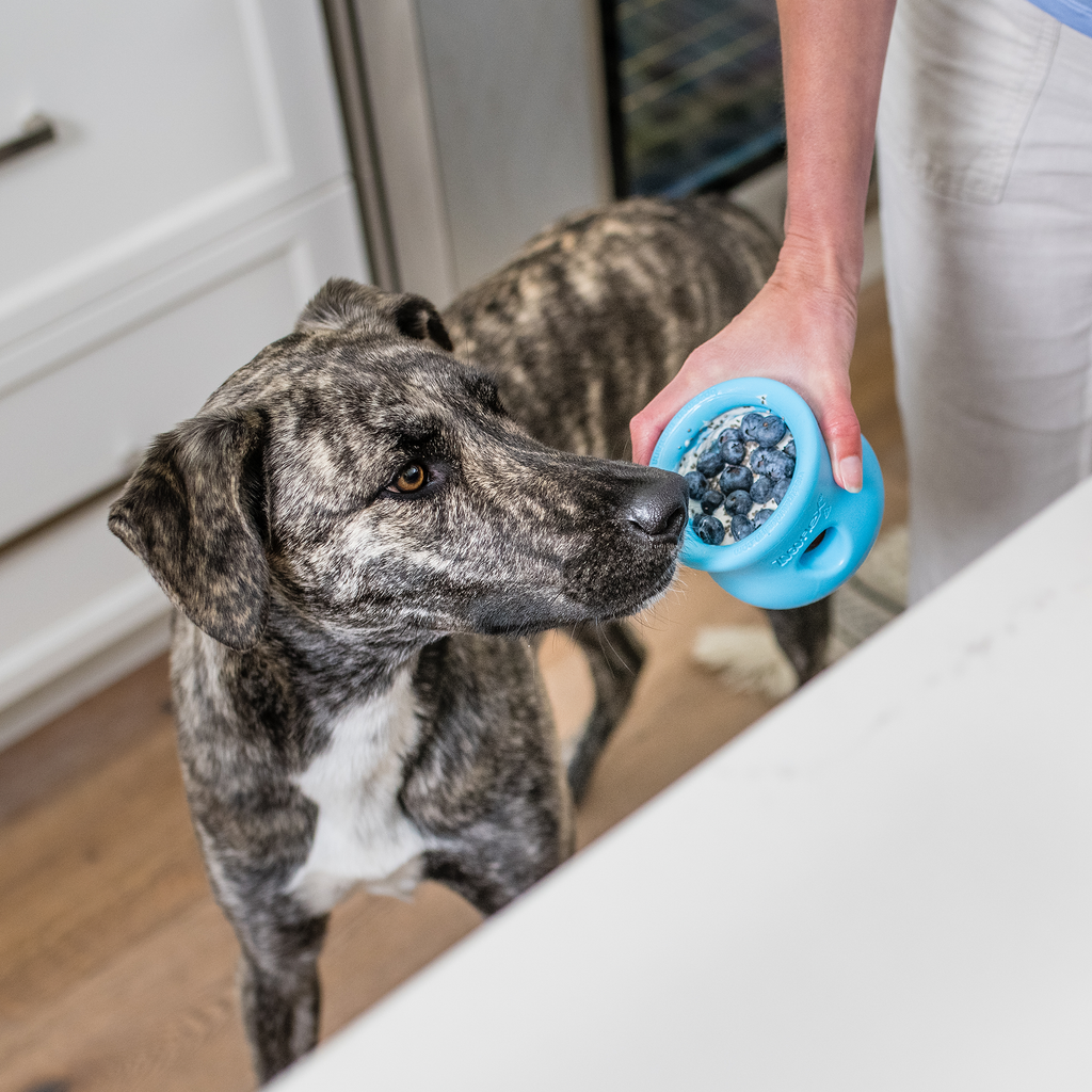 Toppl® Enrichment Toy | A Velcro & Friends Pick